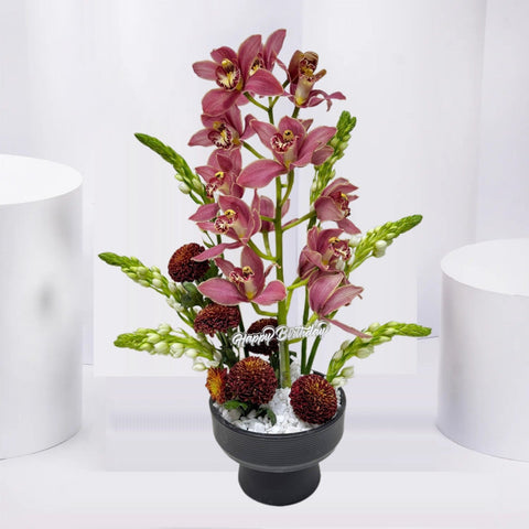 Orchid Birthday Elegance