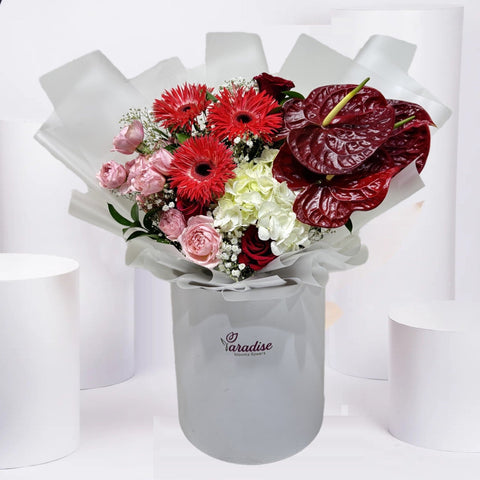 Passionate Romance(Box)