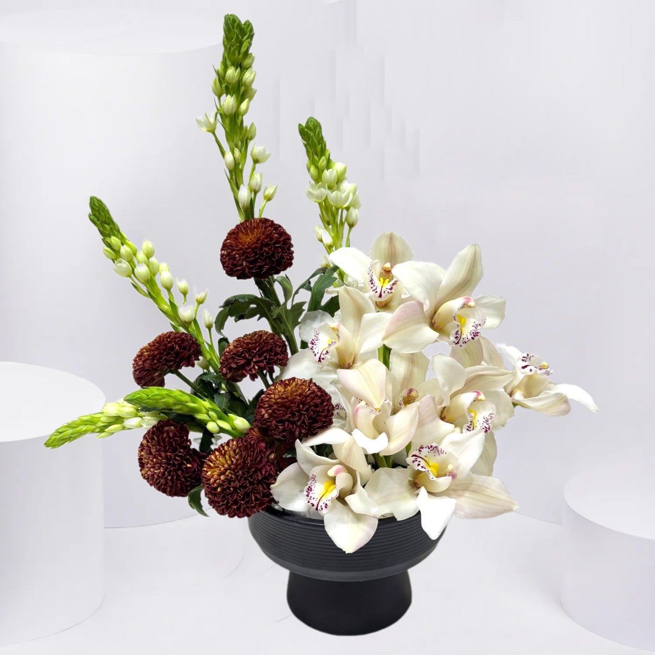 Serene Orchid Oasis