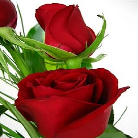 3 Roses in a Vase - FWR - Arabian Petals (2105638027322)