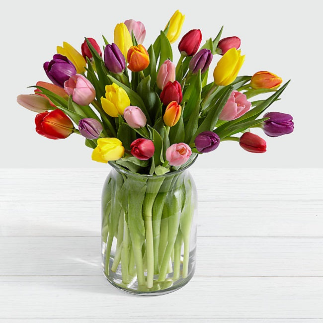 30 Multi-Colored Tulips - FWR - Arabian Petals (2109048750138)