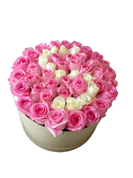 50 Pink and White Roses with circular box (6580802224292)