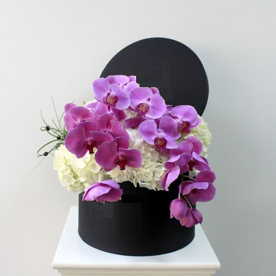 Pearl Phalaenopsis Orchids and Hydrangea  Box - Arabian Petals (4895744753709)