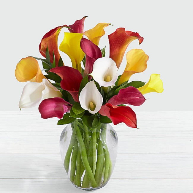 Assorted Mini Calla Lilies - Arabian Petals (2109038788666)