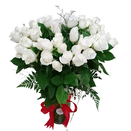 60 cm Long Stems 50 White Roses