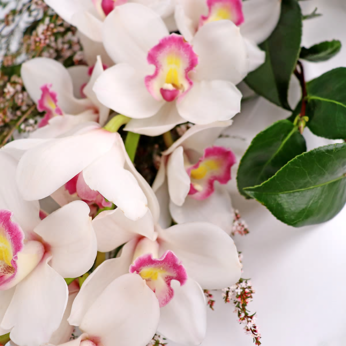 Cymbidium Paradise Bouquet