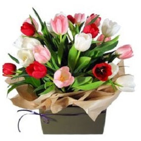 Divine - FWR - Arabian Petals (2089029959738)