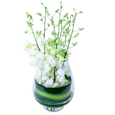 Elegant Orchids - FWR - Arabian Petals (2091087593530)