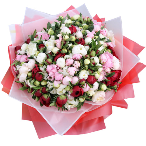 201 Multi Color Peonies