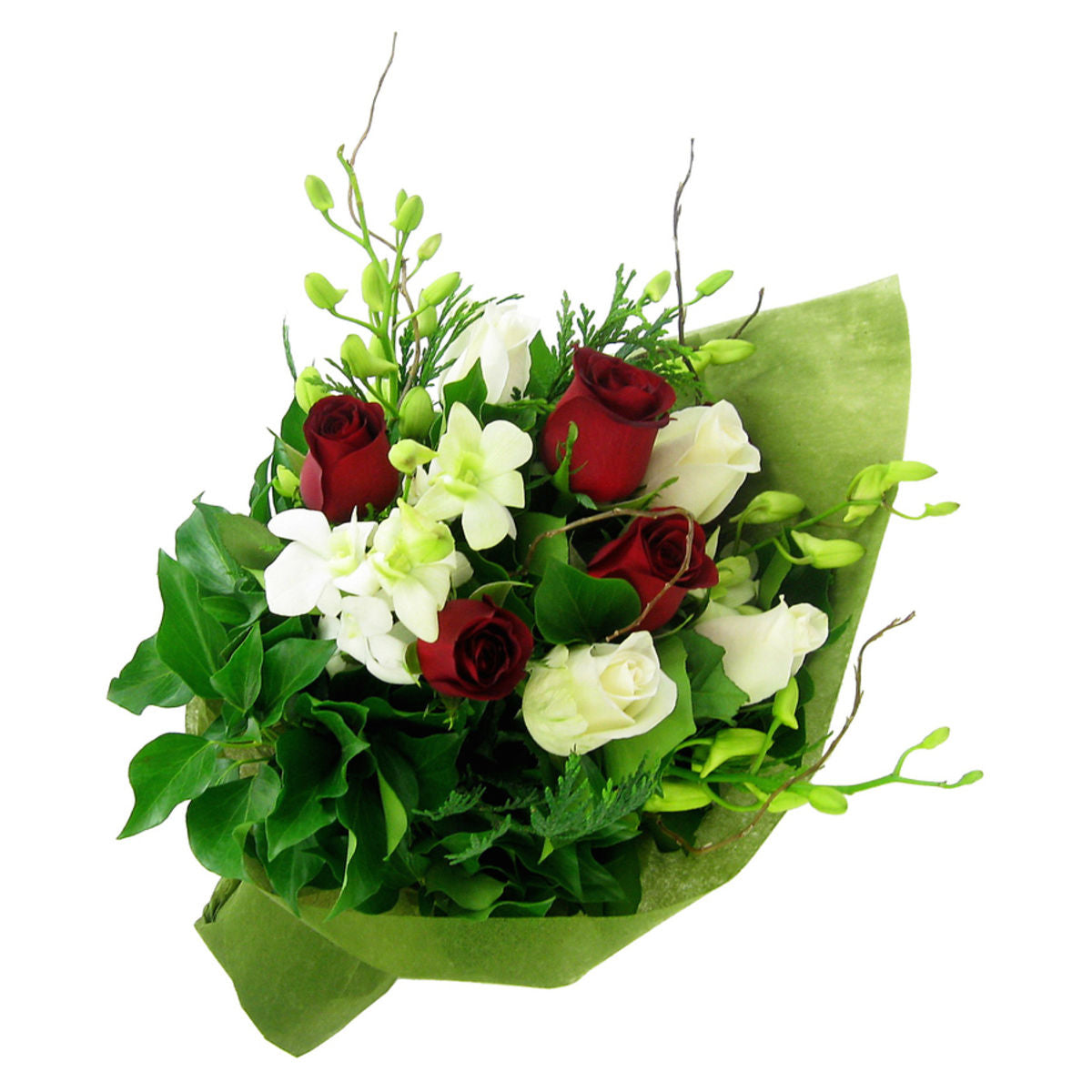 Noel (5919477334180)