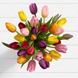 30 Multi-Colored Tulips - FWR - Arabian Petals (2109048750138)