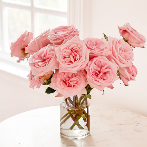 Pink O'Hara