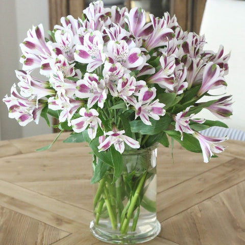 Purple and White Alstroemeria (5924138746020)