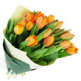 Orange Tulip Bunch - FWR - Arabian Petals (2089307832378)