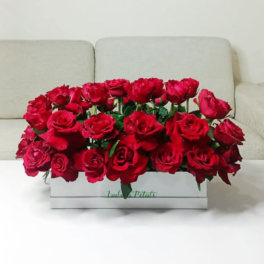 Bundle of Rose