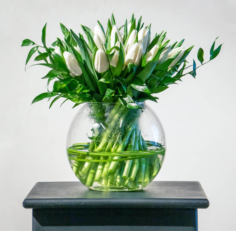 White Tulips in a glass vase