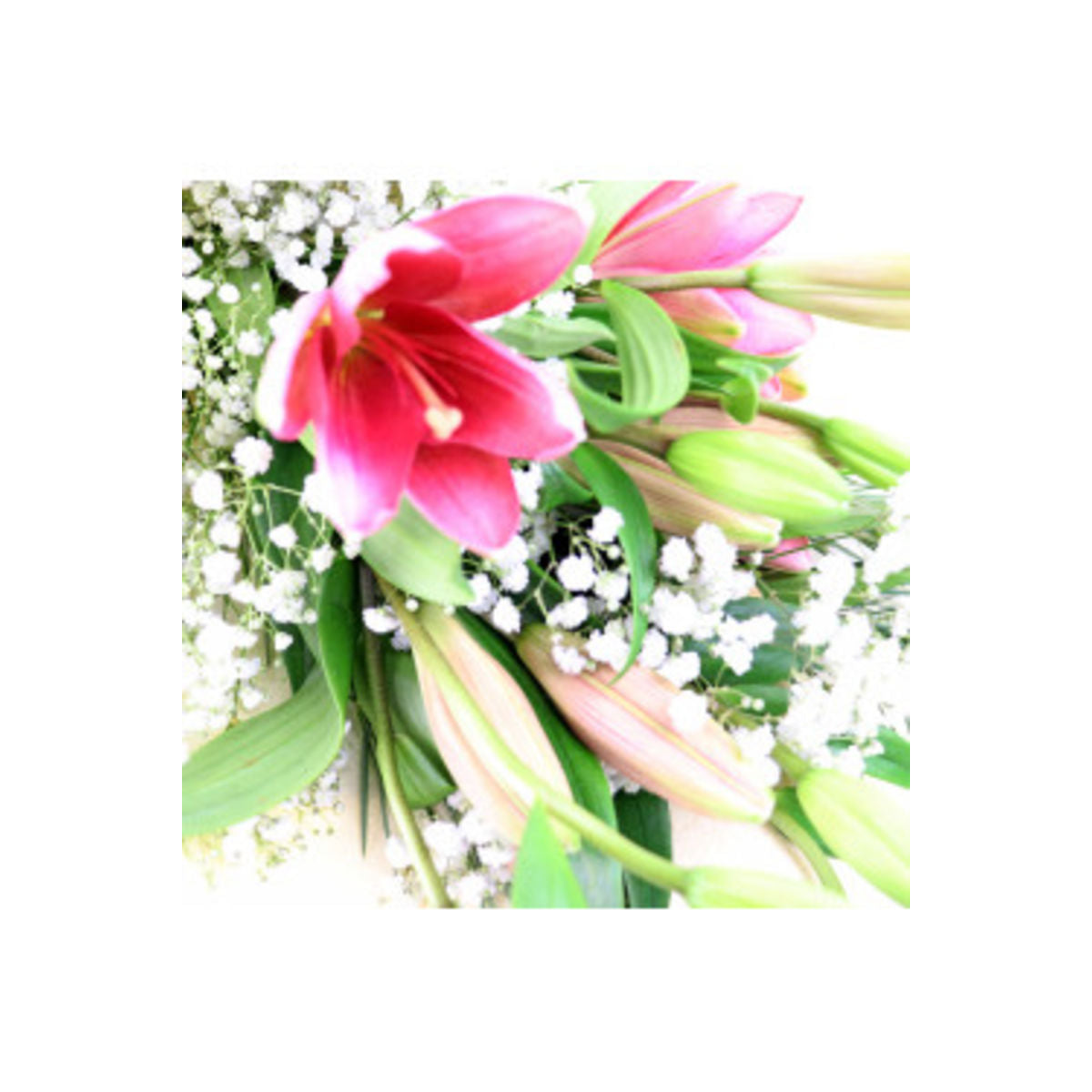 Xmas Lily Lady (5919450366116)