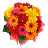Bright Delight - FWR - Arabian Petals (2096546676794)