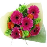 Neon Knockout - FWR - Arabian Petals (2096545005626)