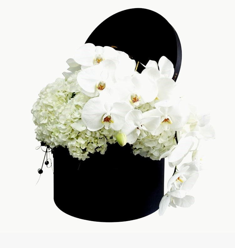 Phalaenopsis Orchids and Hydrangea Floral Box - Arabian Petals (4895678201901)