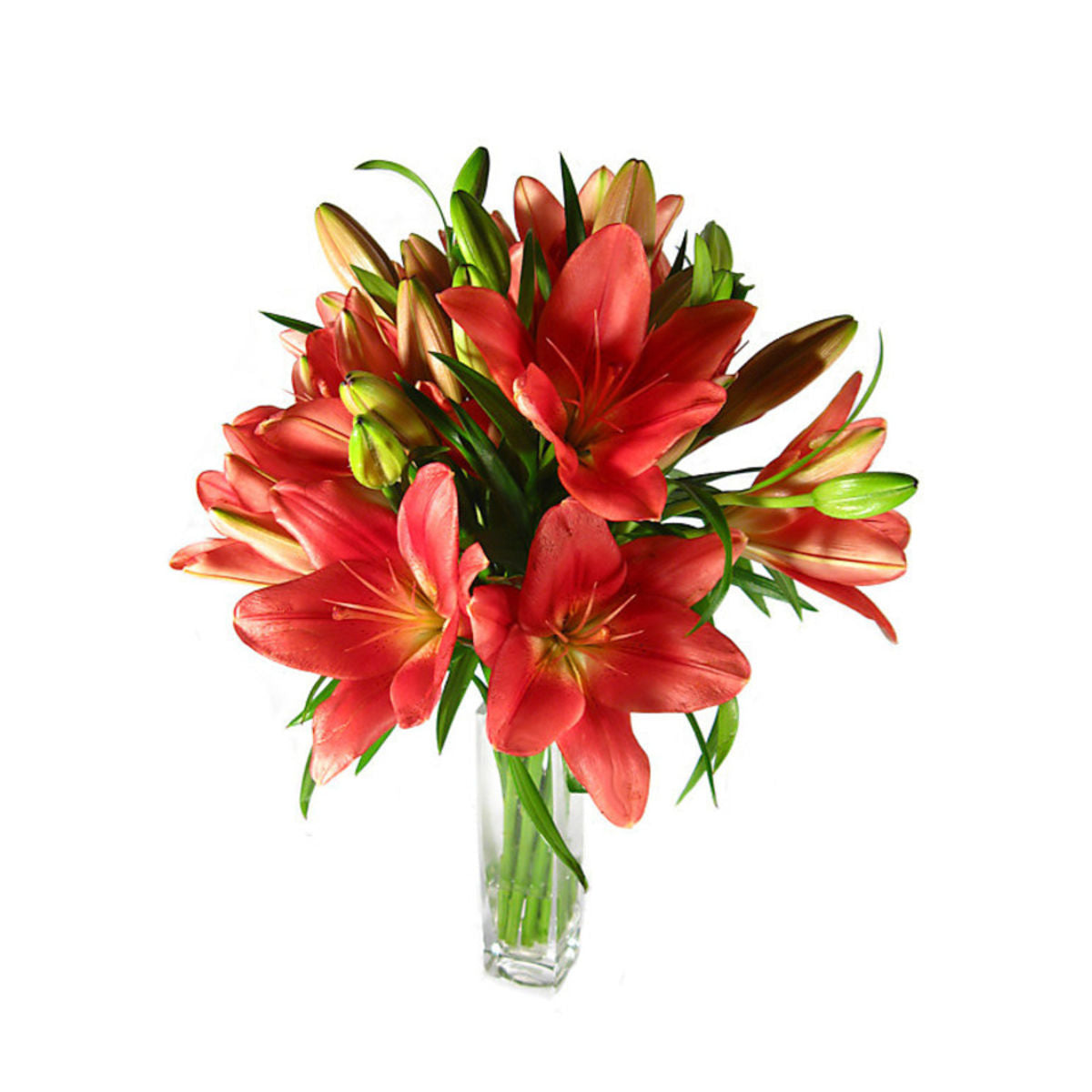 Lilies in a Vase - Arabian Petals (4898861842477)