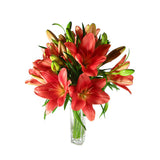 Lilies in a Vase - Arabian Petals (4898861842477)