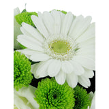 It's A Boy flower (5565060055204)