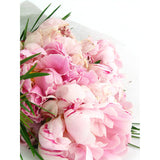 Peonies - Arabian Petals (5269780005028)