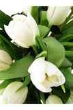 Heralds Of Spring - FWR - Arabian Petals (2089135964218)