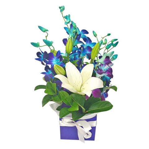 Making Magic - Blue - Arabian Petals (5414046924964)