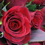 One hundred Reasons - FWR - Arabian Petals (2108905685050)