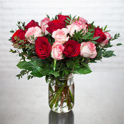 Winter Roses