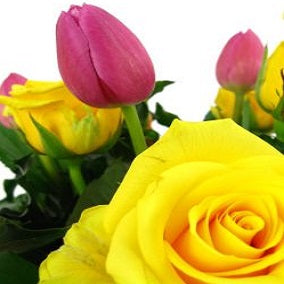 Roses and Tulips - FWR - Arabian Petals (2108371435578)