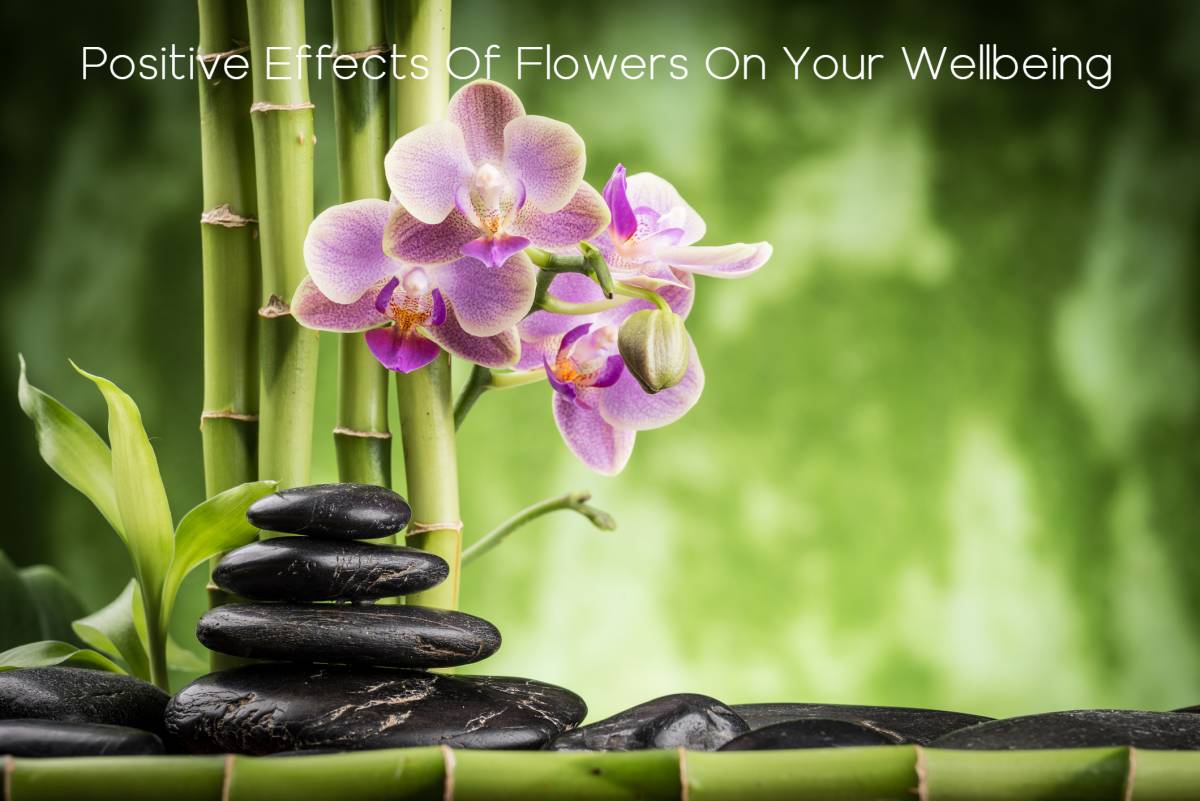 Positive Effects Of Flowers On Your Wellbeing