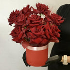 Box of French burgundy roses