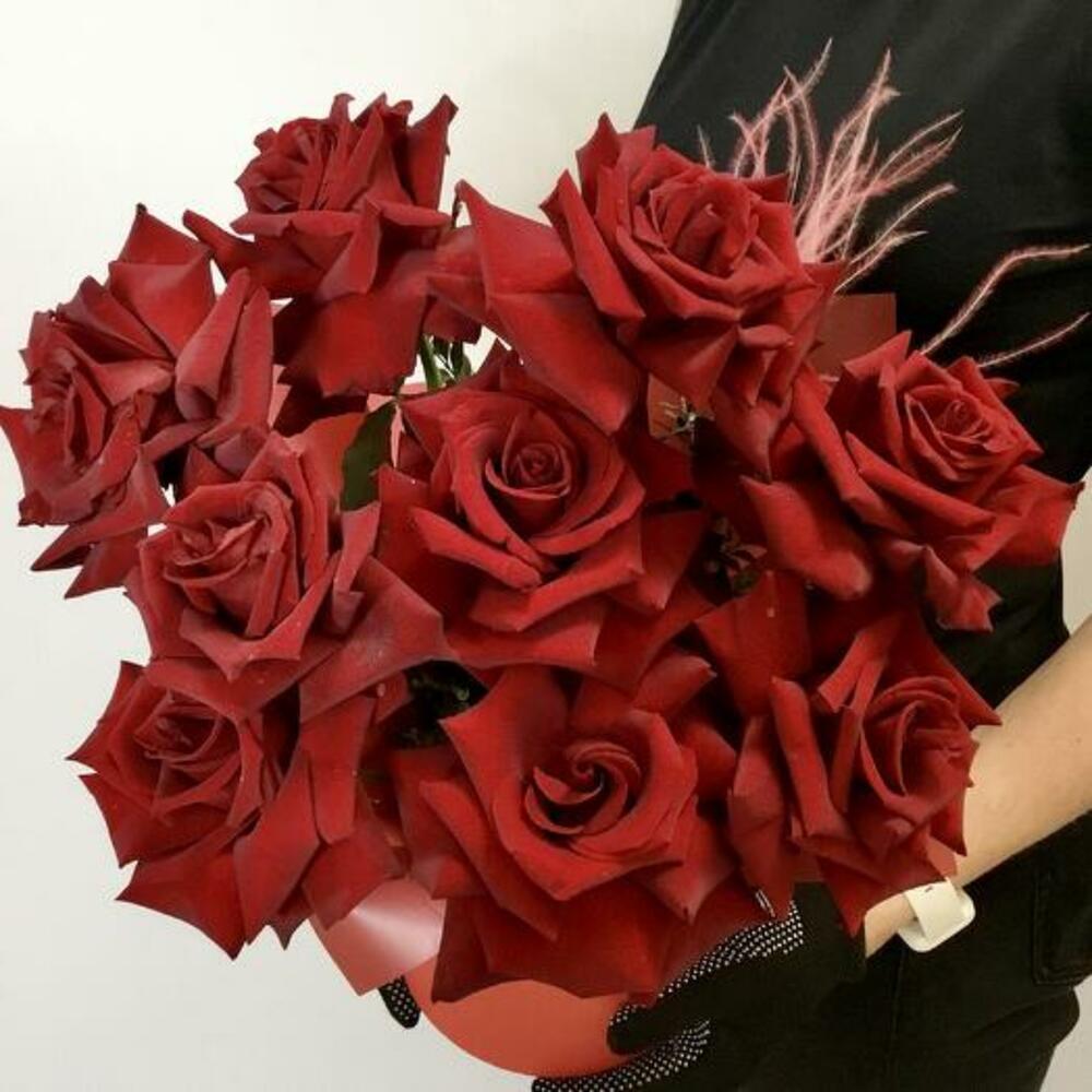 Box of French burgundy roses