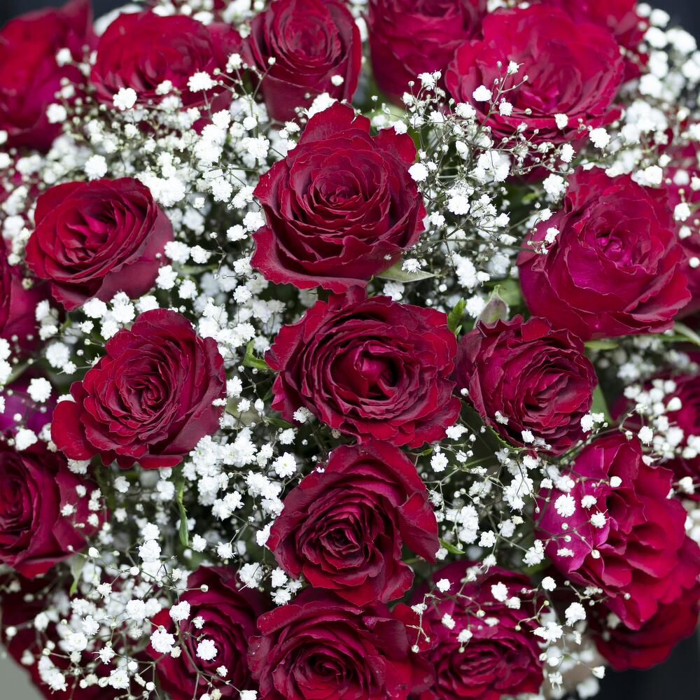 35 Red Roses Arrangement