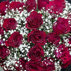 35 Red Roses Arrangement