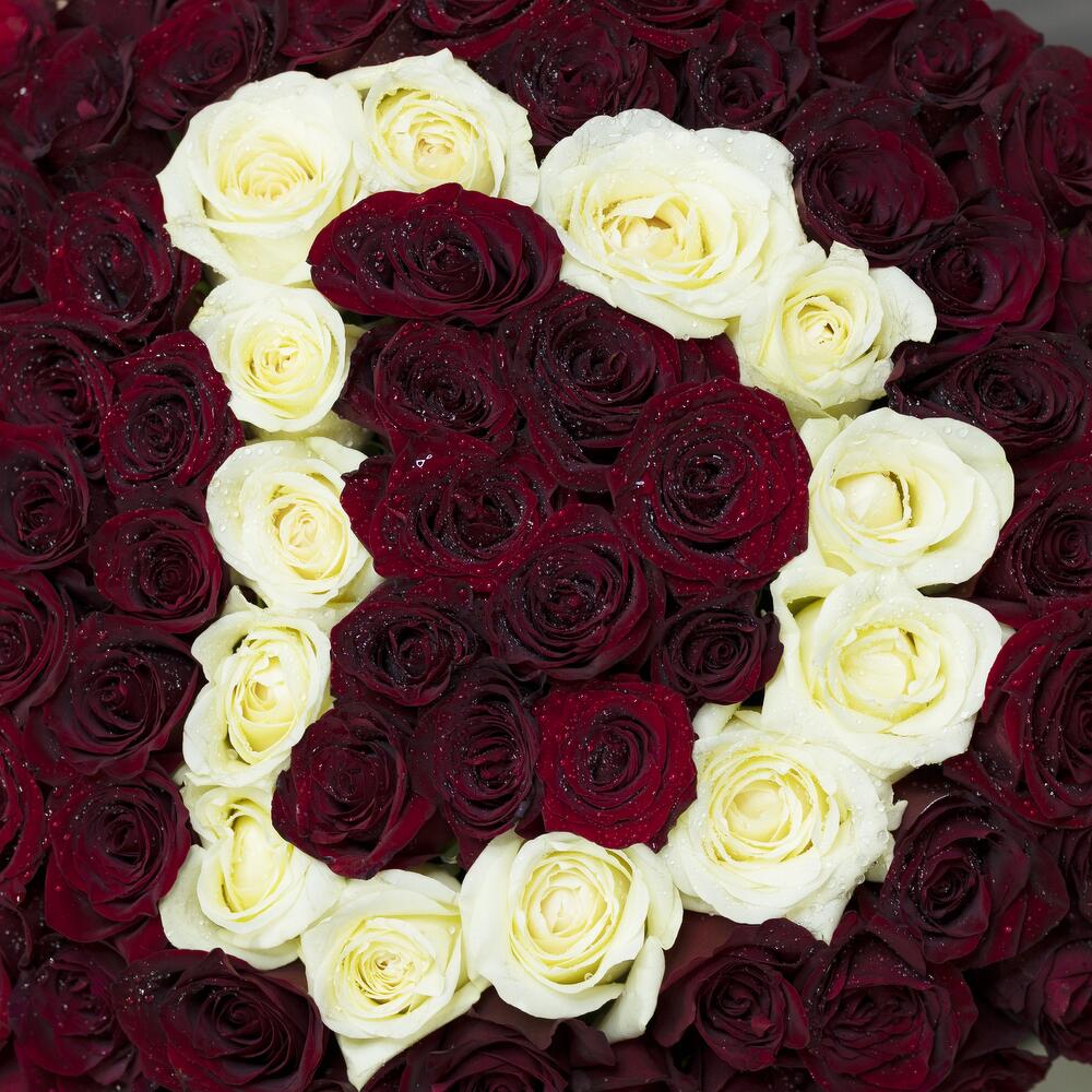 101 Roses Arrangement