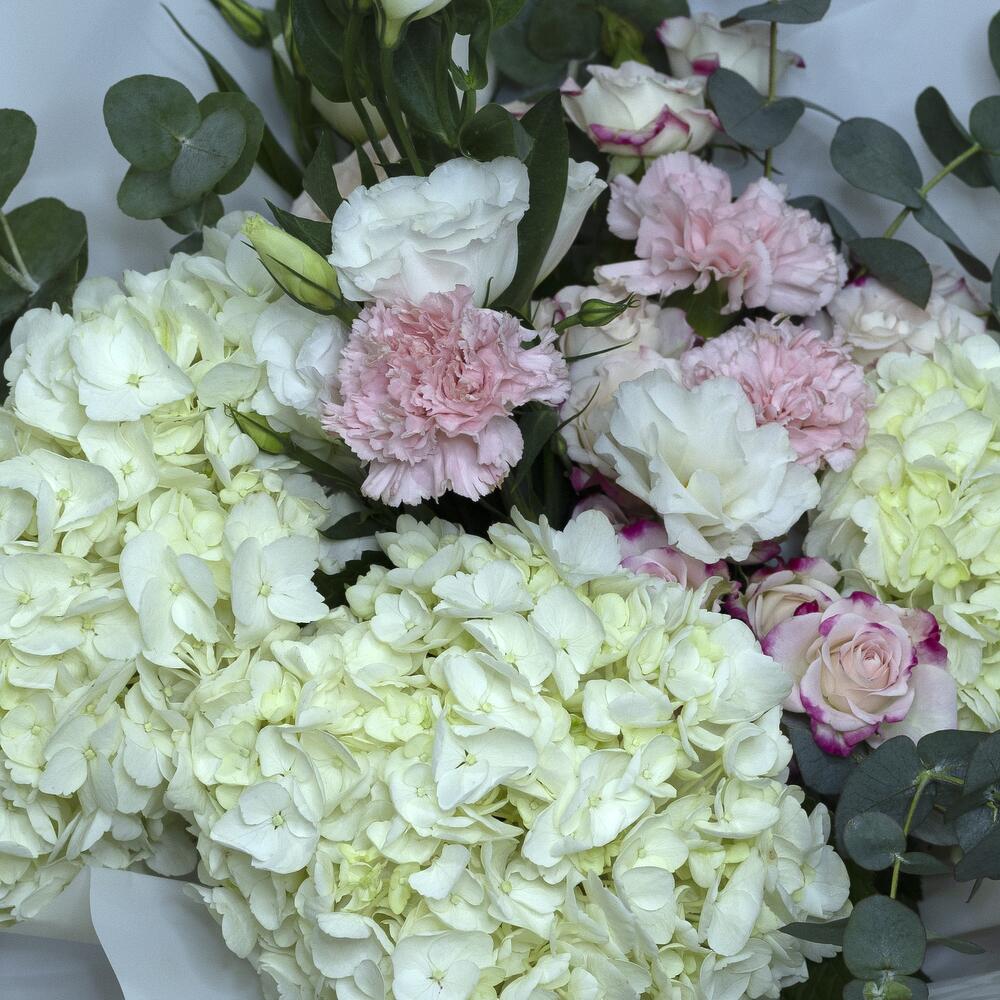 Blooms of Elegance