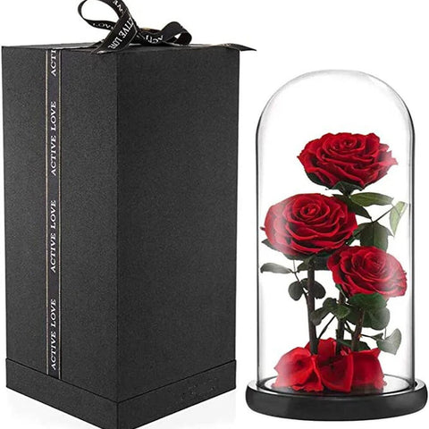 Glass Dome Vase With Three Rose Red