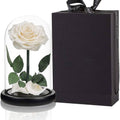 Glass Dome Vase With Single Tall rose White
