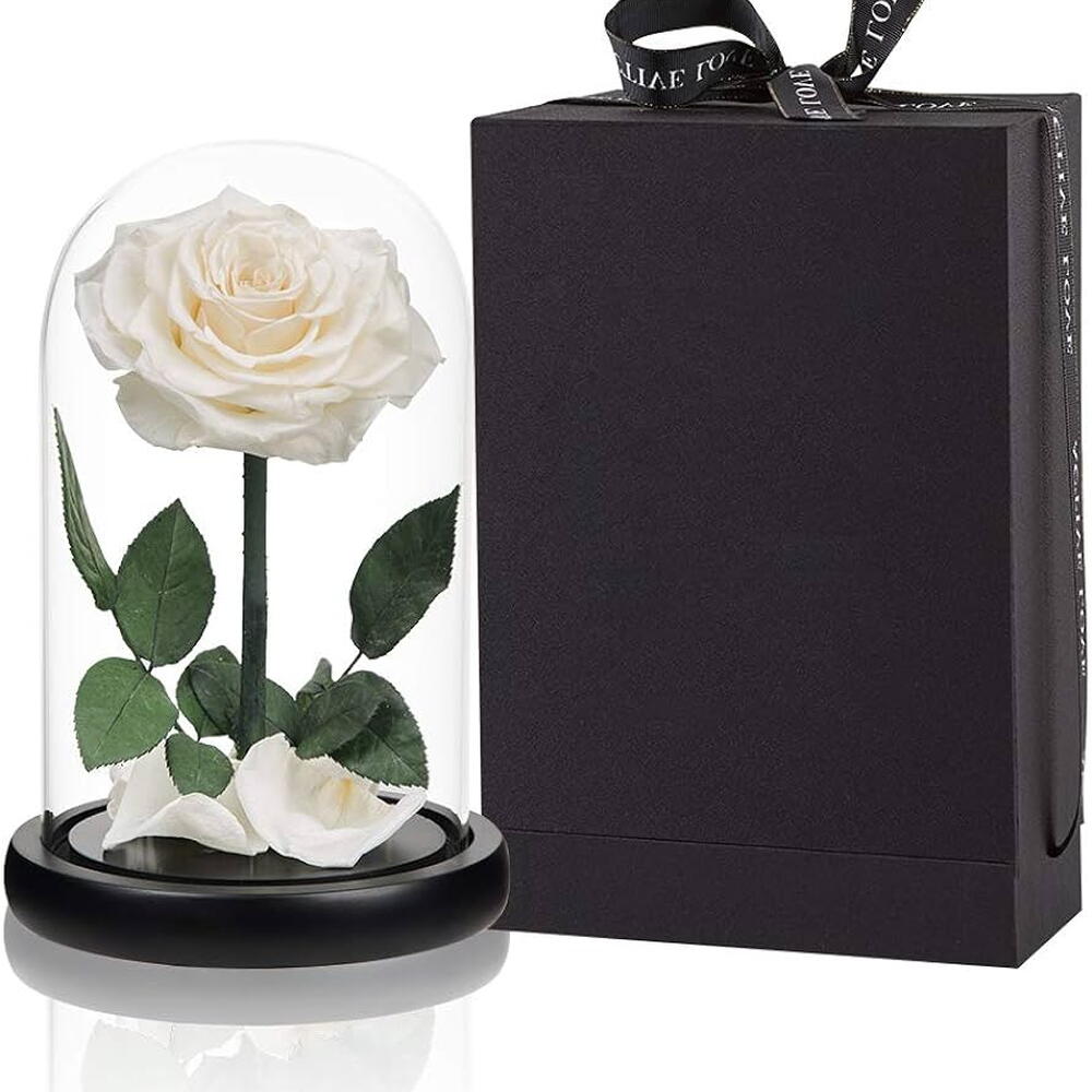 Glass Dome Vase With Single Tall rose White