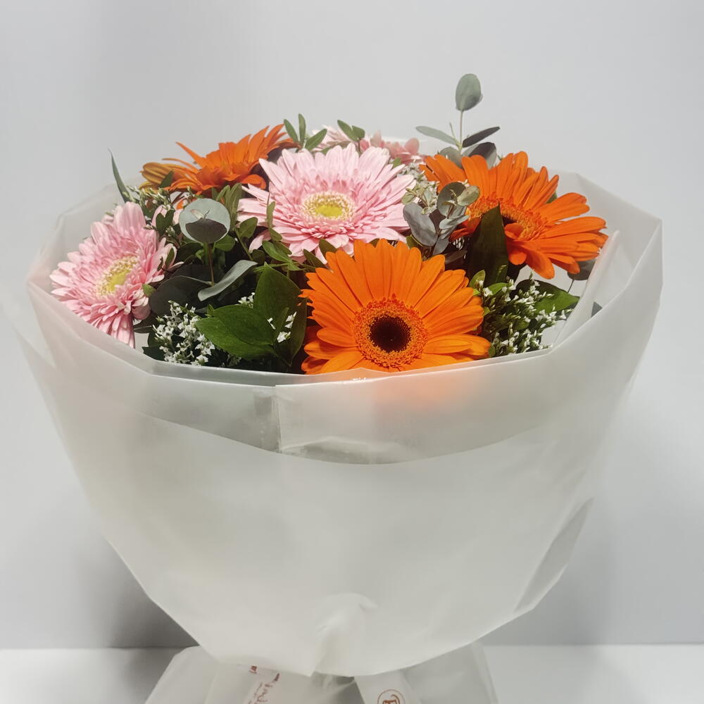 Pink and Orange Gerbera