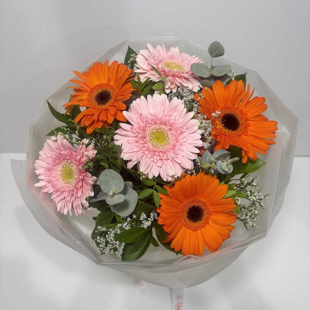 Pink and Orange Gerbera