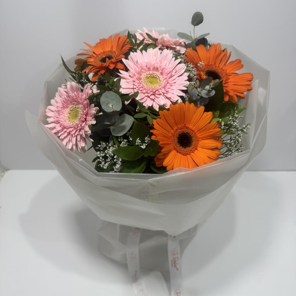 Pink and Orange Gerbera