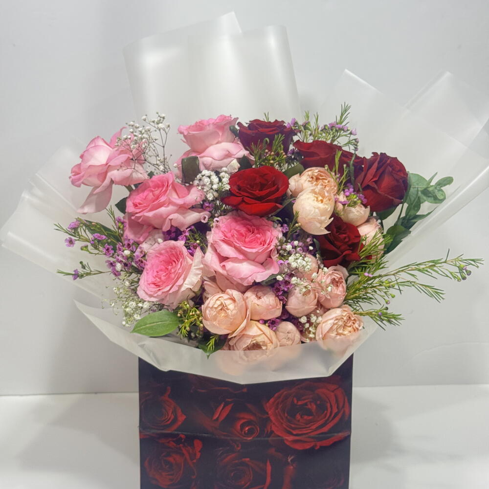 Blush of Romance -2