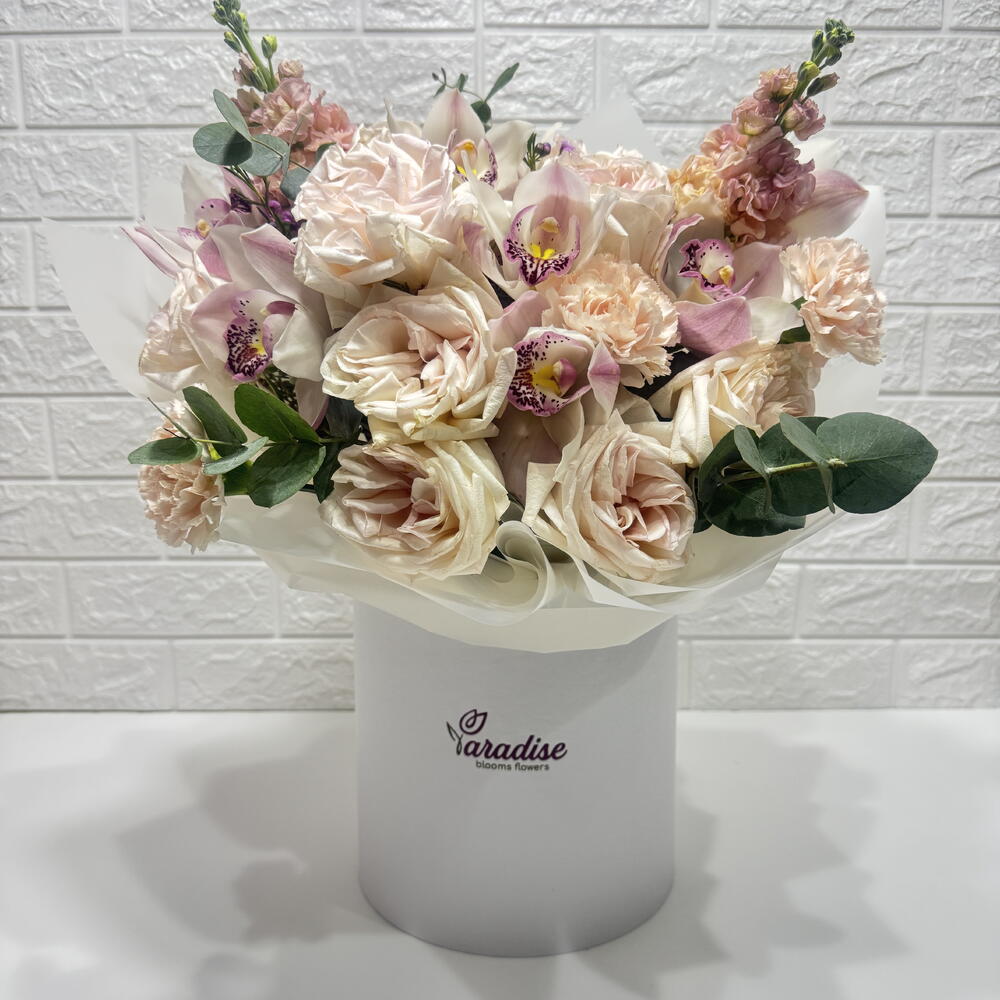 Whispers of Serenity(Box)