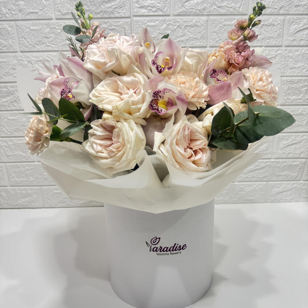 Whispers of Serenity(Box)