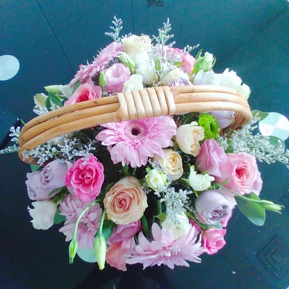 Pastel Dreams